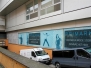Window Graphics